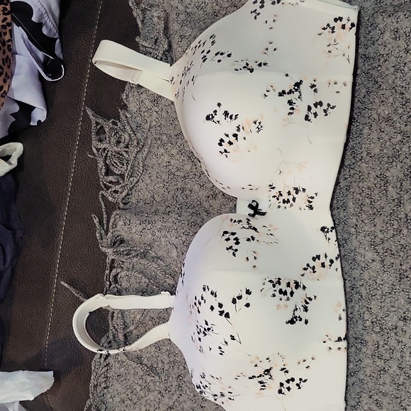Cacique Other - Cacique Bra 🤍